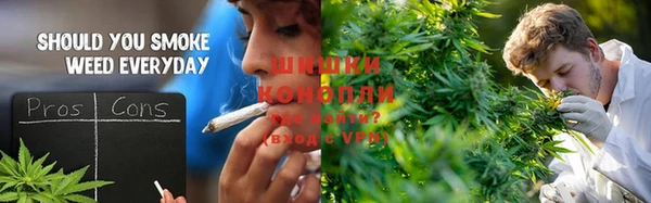 мет Инта