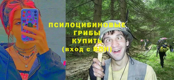 мет Инта