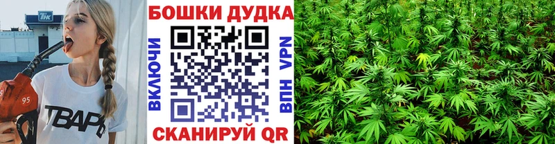 Купить где  Павловск  Марихуана Ganja 